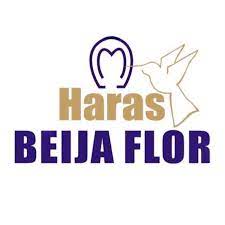 Haras Beija flor